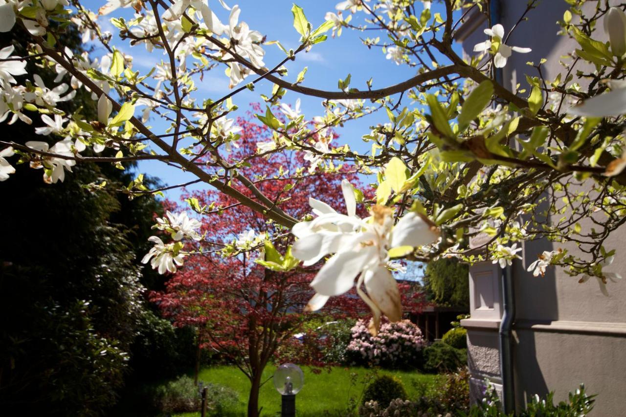 Rosengarten Fehmarn